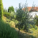 Luppo
