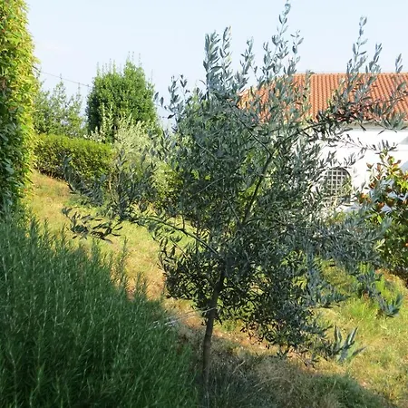 Luppo