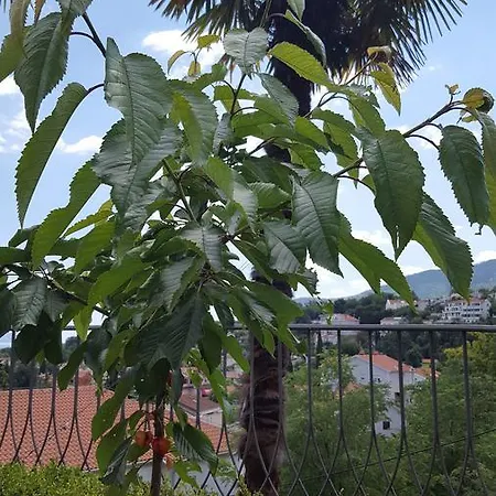 Apartman Luppo Ičići