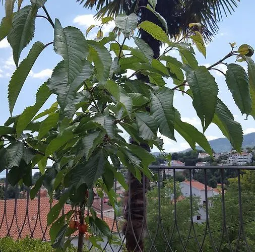 Appartement Luppo Ičići